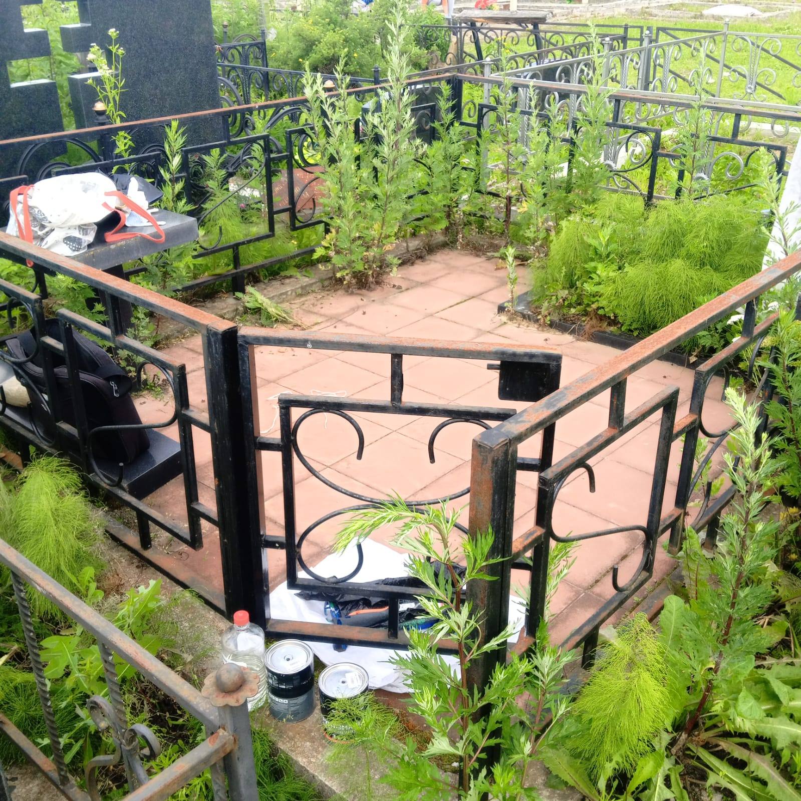 Ограда до покраски